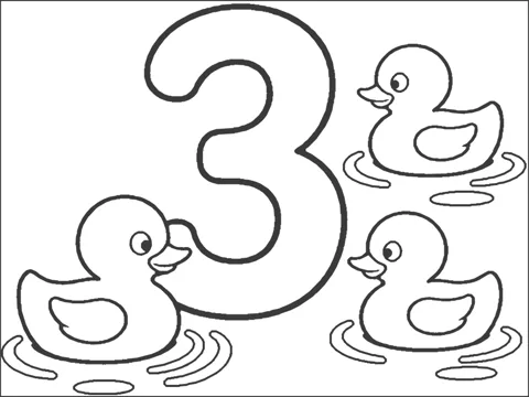 Number 3 ja pardipojad